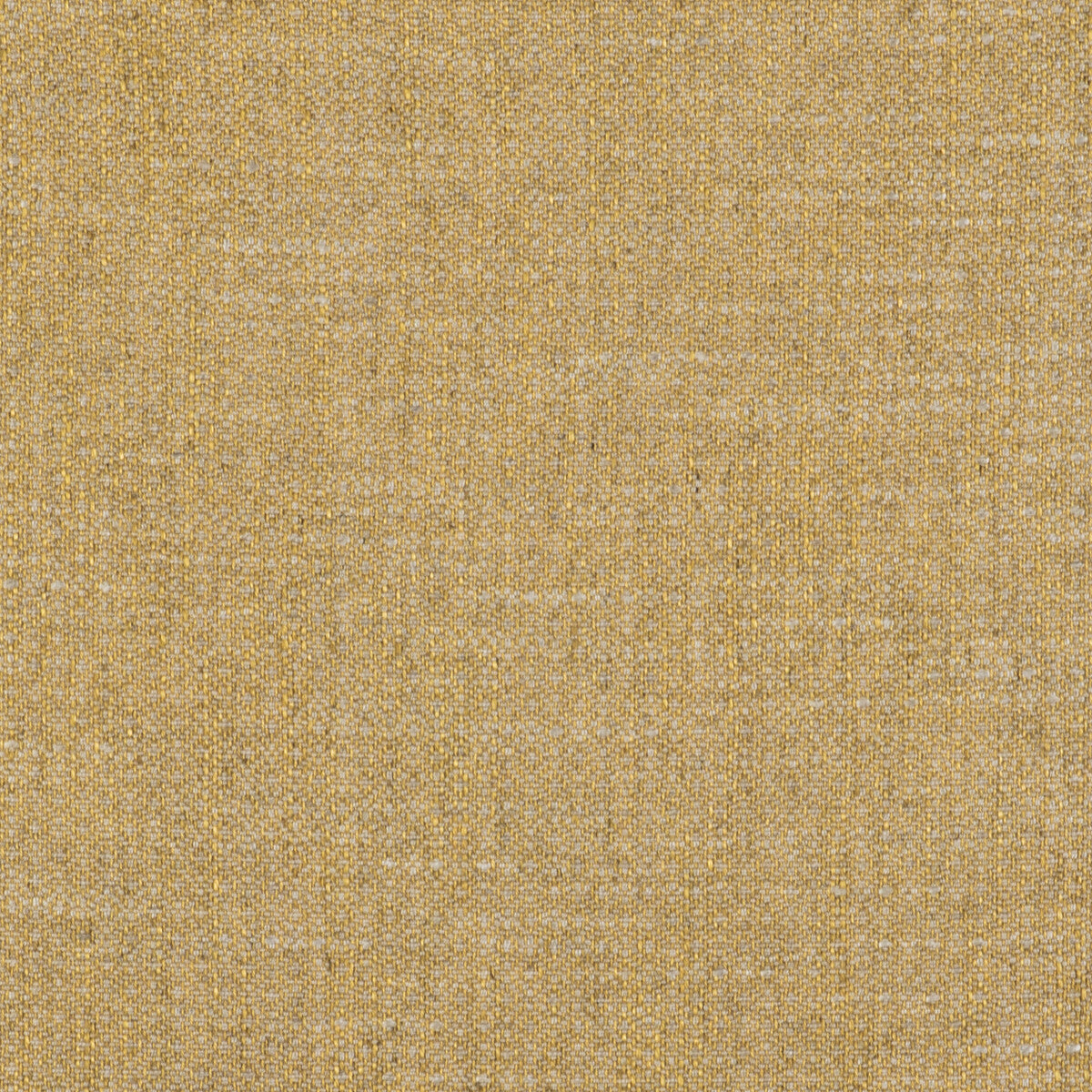 GASTON Y DANIELA GDT5517.005.0 SEMILLA ORO Fabric - Eade's Wallpaper