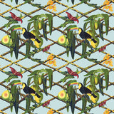 GASTON Y DANIELA GDT5539.001.0 TUCAN ORIGINAL Fabric - Eade's Wallpaper