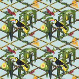 GASTON Y DANIELA GDT5539.001.0 TUCAN ORIGINAL Fabric - Eade's Wallpaper