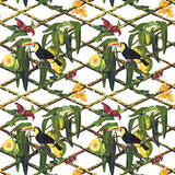 GASTON Y DANIELA GDT5539.002.0 TUCAN FONDO BLANCO Fabric - Eade's Wallpaper