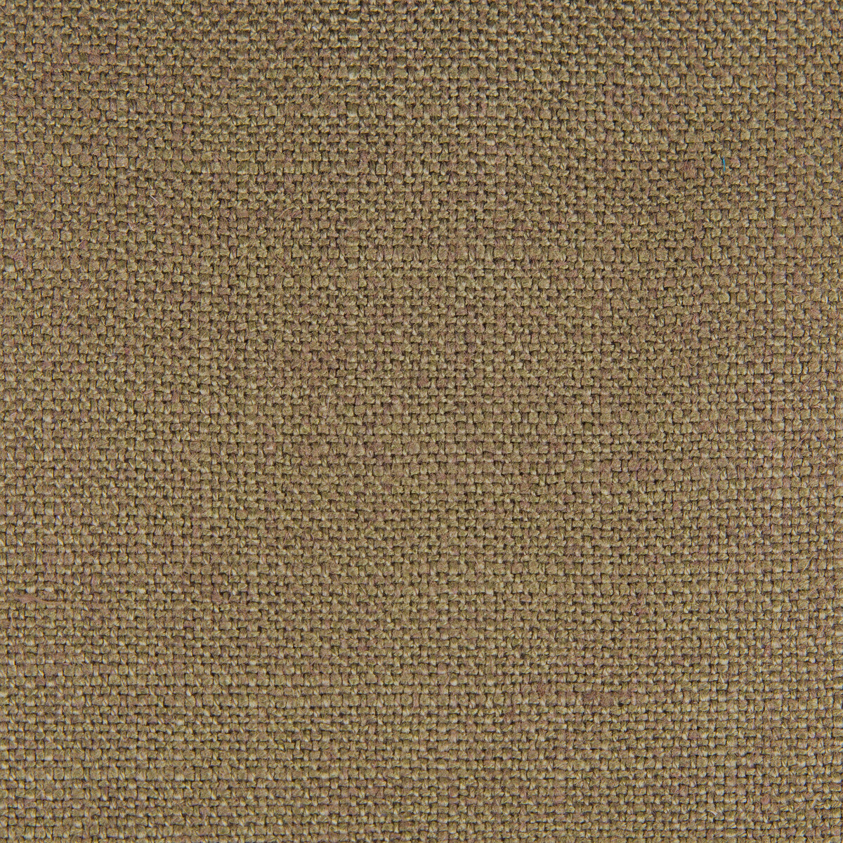GASTON Y DANIELA GDT5548.011.0 PERU KAKI Fabric - Eade's Wallpaper
