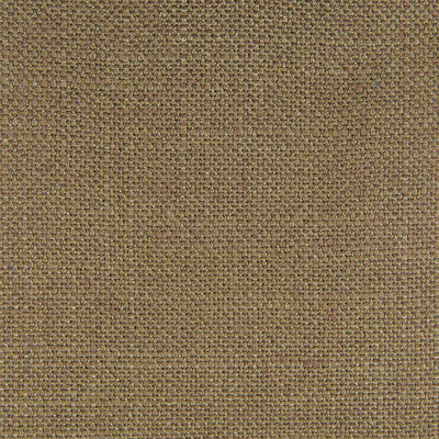 GASTON Y DANIELA GDT5548.011.0 PERU KAKI Fabric - Eade's Wallpaper