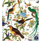 GASTON Y DANIELA GDT5562.001.0 OAXACA BLANCO Fabric - Eade's Wallpaper