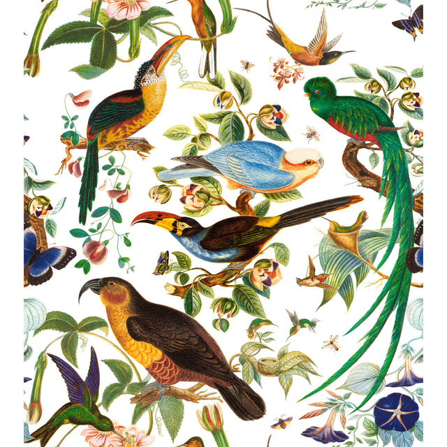 GASTON Y DANIELA GDT5562.001.0 OAXACA BLANCO Fabric - Eade's Wallpaper