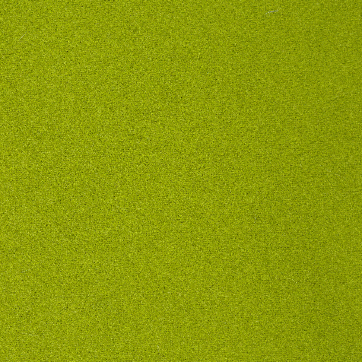 GASTON Y DANIELA GDT5582.006.0 DENVER VERDE Fabric - Eade's Wallpaper