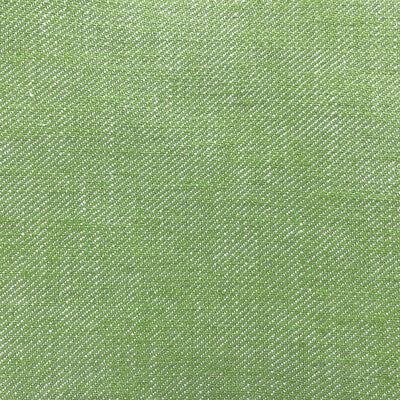 GASTON Y DANIELA GDT5639.018.0 HISA VERDE CLARO Fabric - Eade's Wallpaper