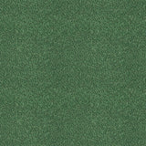 GASTON Y DANIELA GDT5654.008.0 APACHE VERDE Fabric - Eade's Wallpaper