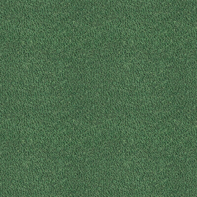GASTON Y DANIELA GDT5654.008.0 APACHE VERDE Fabric - Eade's Wallpaper