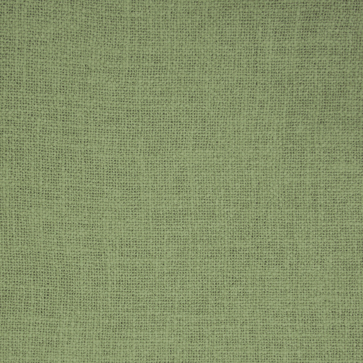 GASTON Y DANIELA GDT5676.036.0 BELLVER MUSGO Fabric - Eade's Wallpaper