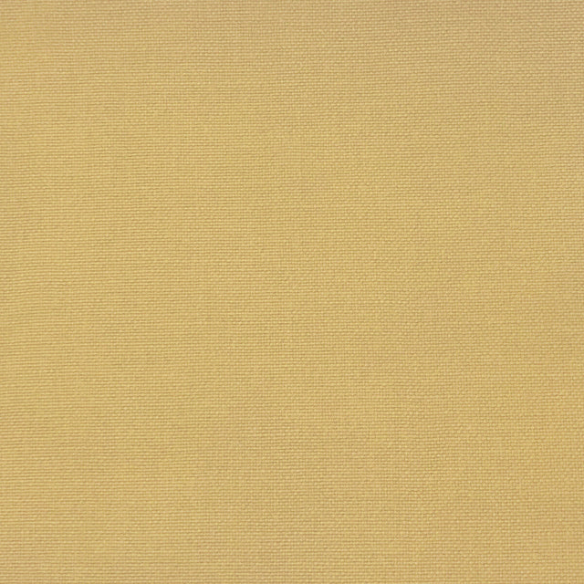 GASTON Y DANIELA GDT5688.014.0 PALMA AMARILLO CLARO Fabric - Eade's Wallpaper