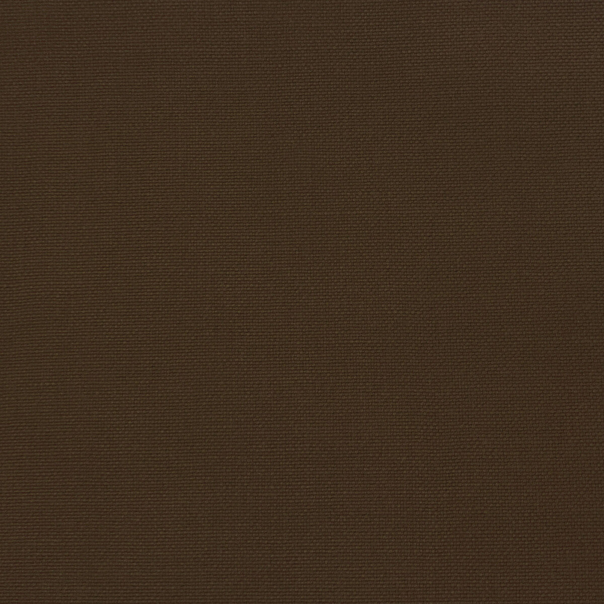 GASTON Y DANIELA GDT5688.039.0 PALMA MARRON Fabric - Eade's Wallpaper