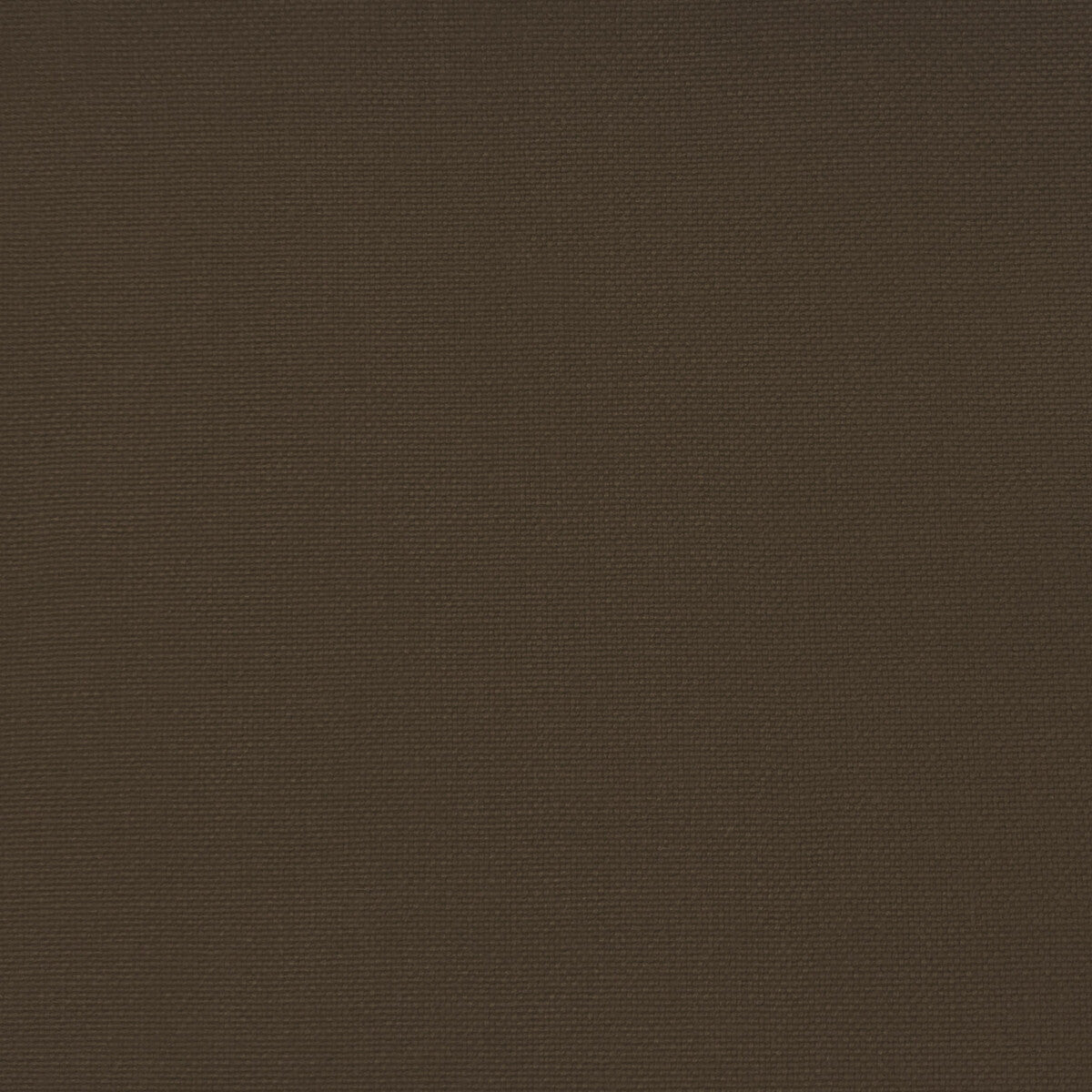 GASTON Y DANIELA GDT5688.046.0 PALMA ACACIA Fabric - Eade's Wallpaper