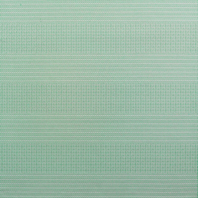 GASTON Y DANIELA GDT5697.001.0 KAILAS VERDE Fabric - Eade's Wallpaper