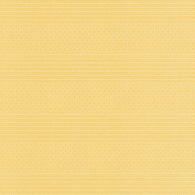 GASTON Y DANIELA GDT5697.003.0 KAILAS PAJA Fabric - Eade's Wallpaper