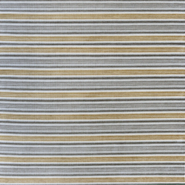 GASTON Y DANIELA ASSOS GDT5780.002.0 in TOPO/BEIGE Fabric - 