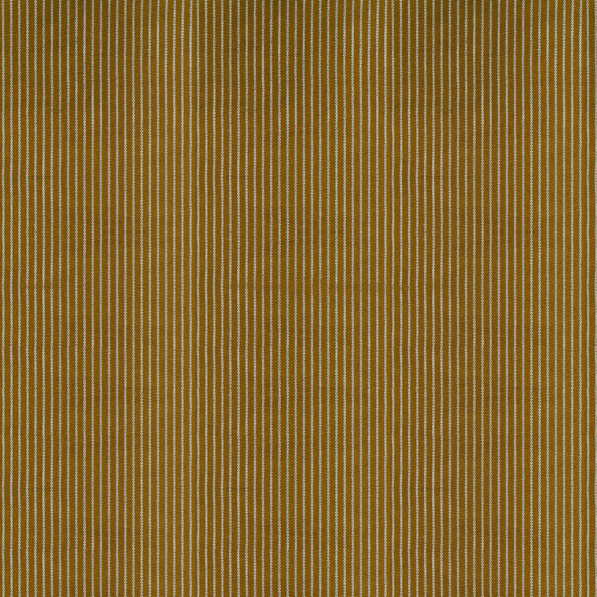 GASTON Y DANIELA EGEO GDT5791.012.0 in MANDARINA Fabric - GA