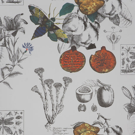 GASTON Y DANIELA GDW4848.001.0 LINNEO ORIGINAL Wallpaper - Eade's Wallpaper