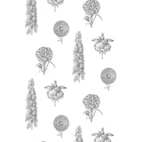 GASTON Y DANIELA GDW4854.001.0 GUAYANA BLACK Wallpaper - Eade's Wallpaper