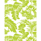 GASTON Y DANIELA GDW5449.002.0 PLANTATION VERDE Wallpaper - Eade's Wallpaper