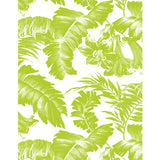 GASTON Y DANIELA GDW5449.002.0 PLANTATION VERDE Wallpaper - Eade's Wallpaper