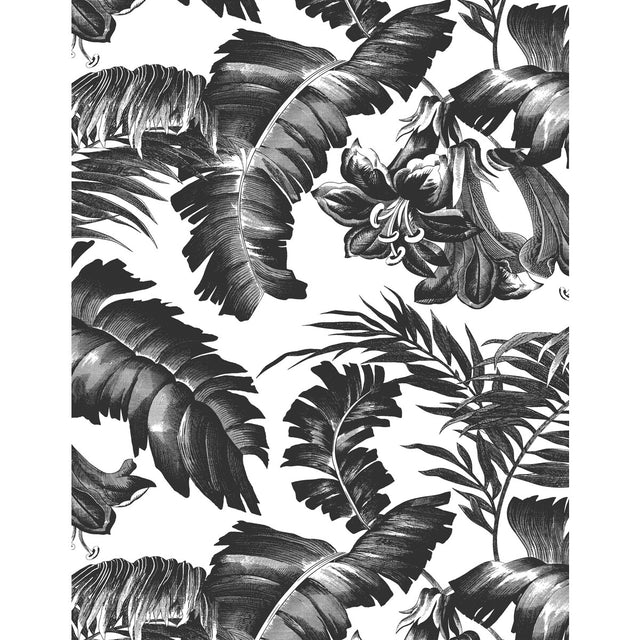 GASTON Y DANIELA GDW5449.005.0 PLANTATION BLACK&WHITE Wallpaper - Eade's Wallpaper