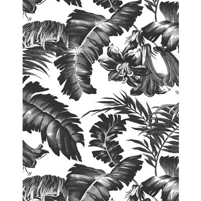 GASTON Y DANIELA GDW5449.005.0 PLANTATION BLACK&WHITE Wallpaper - Eade's Wallpaper