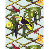 GASTON Y DANIELA GDW5453.001.0 TUCAN ORIGINAL Wallpaper - Eade's Wallpaper