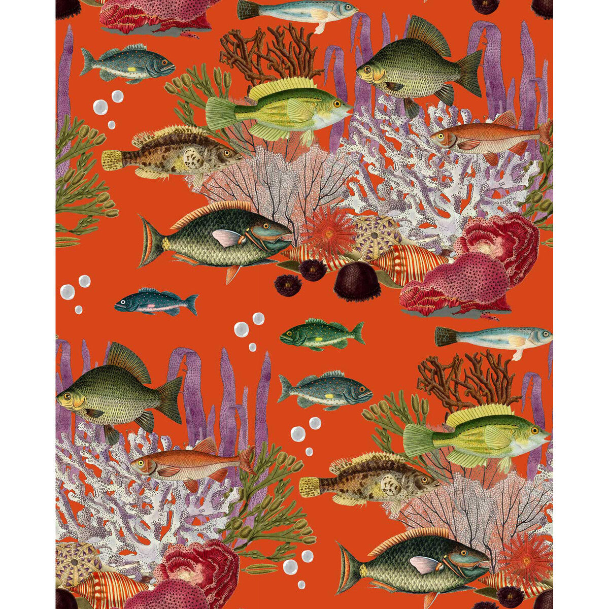 GASTON Y DANIELA GDW5663.002.0 CORALES QUISQUILLA Wallpaper - Eade's Wallpaper