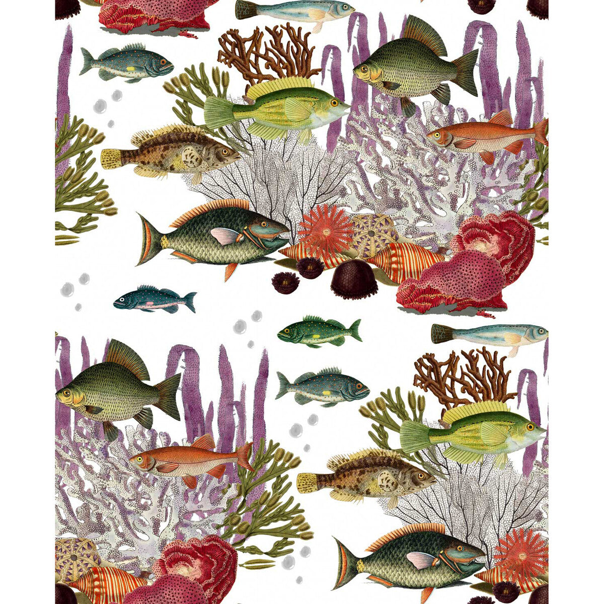 GASTON Y DANIELA GDW5663.003.0 CORALES BLANCO Wallpaper - Eade's Wallpaper