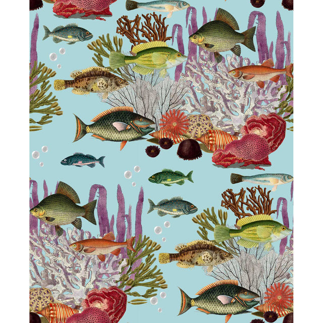 GASTON Y DANIELA GDW5663.004.0 CORALES AGUA Wallpaper - Eade's Wallpaper