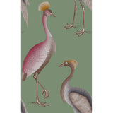 GASTON Y DANIELA GDW5773.003.0 GARZAS VERDE AGUA Wallpaper - Eade's Wallpaper