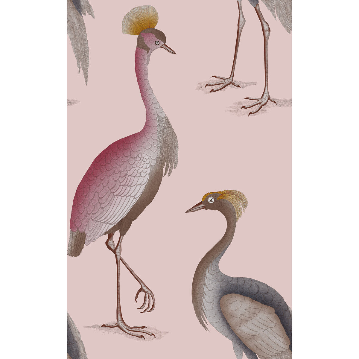 GASTON Y DANIELA GDW5773.006.0 GARZAS ROSA Wallpaper - Eade's Wallpaper