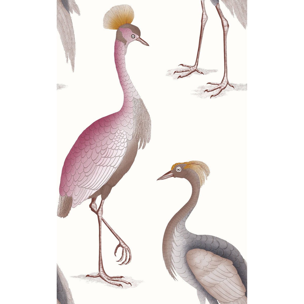 GASTON Y DANIELA GDW5773.007.0 GARZAS BLANCO Wallpaper - Eade's Wallpaper