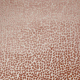 Eade’s GEMS BLUSH BLUSH