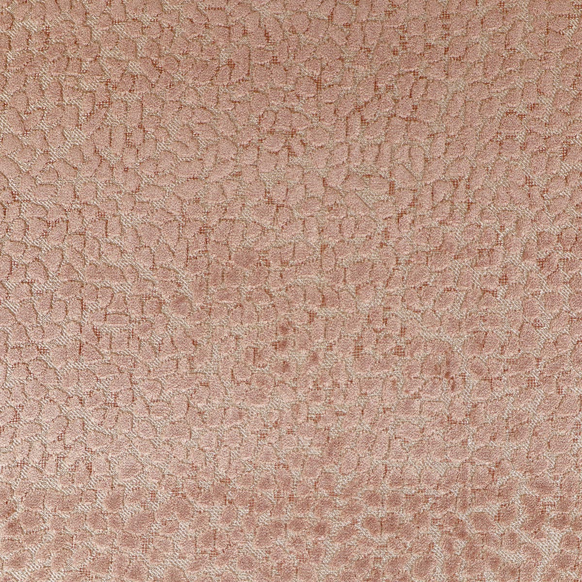 Eade’s GEMS BLUSH BLUSH