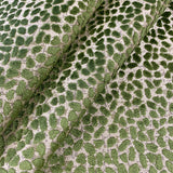 Eade’s GEMS SHAMROCK SHAMROCK