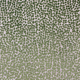 Eade’s GEMS SHAMROCK SHAMROCK