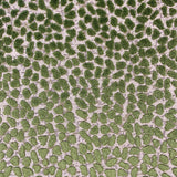 Eade’s GEMS SHAMROCK SHAMROCK