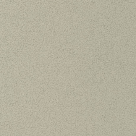 KRAVET DESIGN GENSLAR.11.0 KRAVET DESIGN GENSLAR-11 Fabric - Eade's Wallpaper