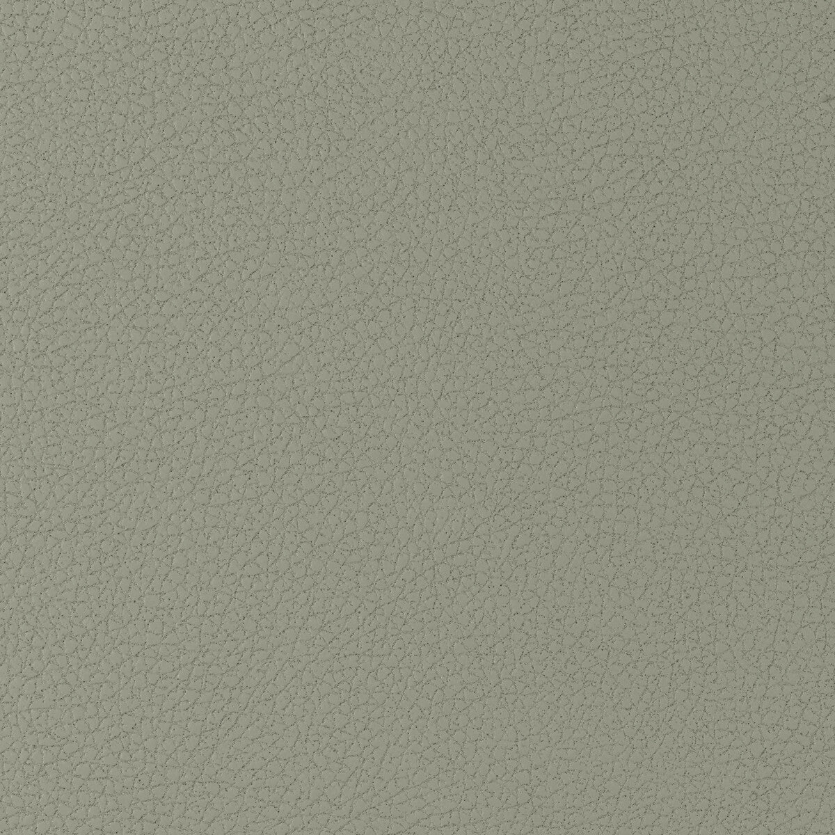 KRAVET DESIGN GENSLAR.1121.0 KRAVET DESIGN GENSLAR-1121 Fabric - Eade's Wallpaper