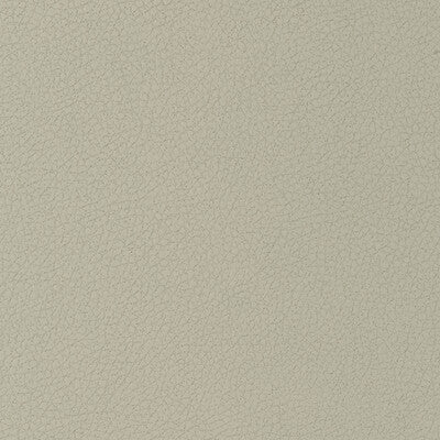 KRAVET DESIGN GENSLAR.11.0 KRAVET DESIGN GENSLAR-11 Fabric - Eade's Wallpaper