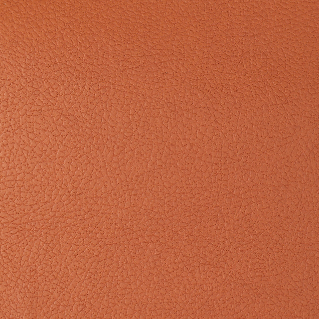 KRAVET DESIGN GENSLAR.12.0 KRAVET DESIGN GENSLAR-12 Fabric - Eade's Wallpaper