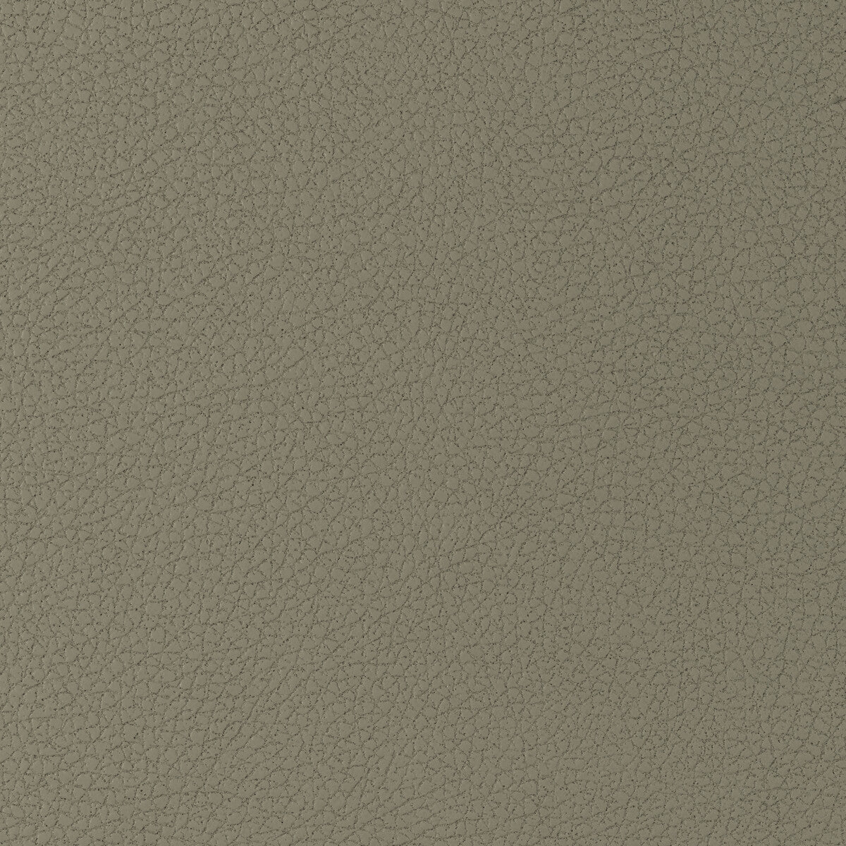 KRAVET DESIGN GENSLAR.1616.0 KRAVET DESIGN GENSLAR-1616 Fabric - Eade's Wallpaper