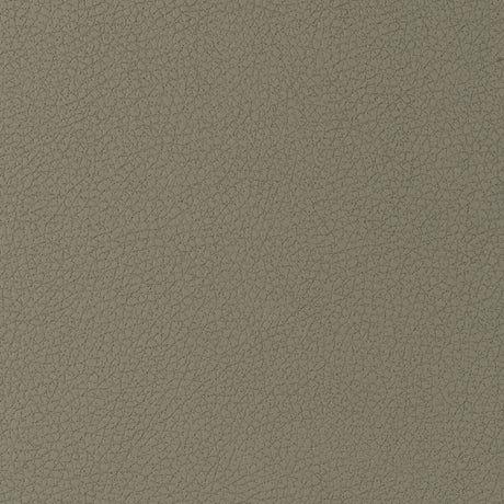 KRAVET DESIGN GENSLAR.1616.0 KRAVET DESIGN GENSLAR-1616 Fabric - Eade's Wallpaper