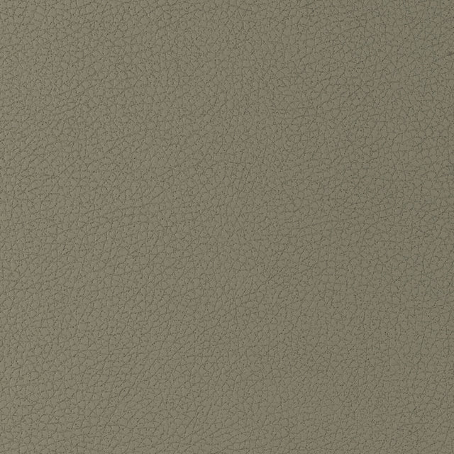 KRAVET DESIGN GENSLAR.1616.0 KRAVET DESIGN GENSLAR-1616 Fabric - Eade's Wallpaper