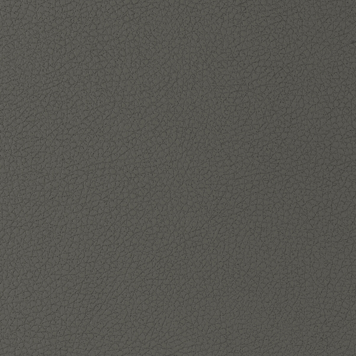 KRAVET DESIGN GENSLAR.21.0 KRAVET DESIGN GENSLAR-21 Fabric - Eade's Wallpaper