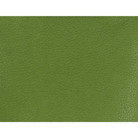 KRAVET DESIGN GENSLAR.333.0 KRAVET DESIGN GENSLAR-333 Fabric - Eade's Wallpaper