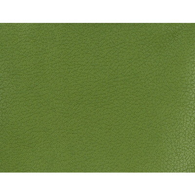 KRAVET DESIGN GENSLAR.333.0 KRAVET DESIGN GENSLAR-333 Fabric - Eade's Wallpaper