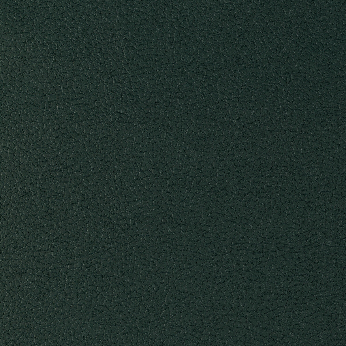 KRAVET DESIGN GENSLAR.35.0 KRAVET DESIGN GENSLAR-35 Fabric - Eade's Wallpaper