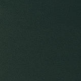 KRAVET DESIGN GENSLAR.35.0 KRAVET DESIGN GENSLAR-35 Fabric - Eade's Wallpaper